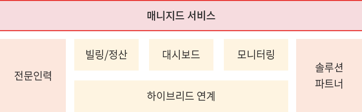 매니지드 서비스 : 전문인력,빌링/정산,대시보드,모니터링,하이브리드 연계, 솔루션 파트너